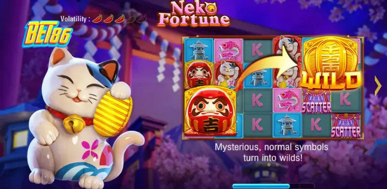 What kind of game is Neko Fortune?