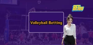 Volleyball Betting