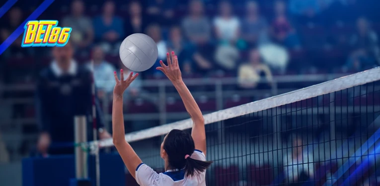 General information about volleyball betting