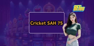 Cricket SAH 75