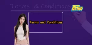 Terms and Conditions