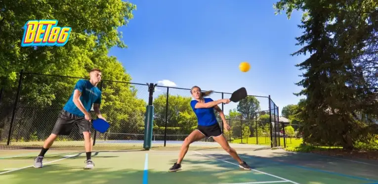 Pickleball Guide for Newbies