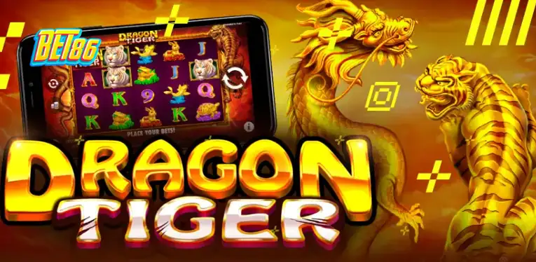 Effective Dragon Tiger Playing Tips for Newbies