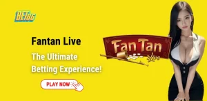 Discover Fantan Live – The Ultimate Betting Experience!