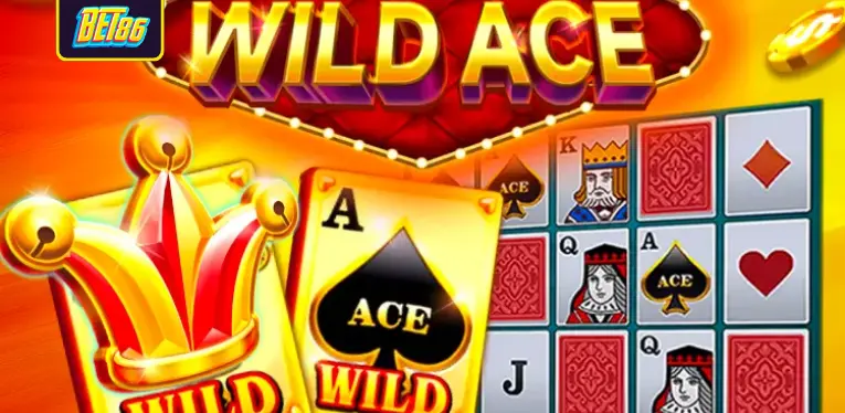 Overview of Wild Ace card game