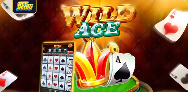 Instructions on how to play Wild Ace game