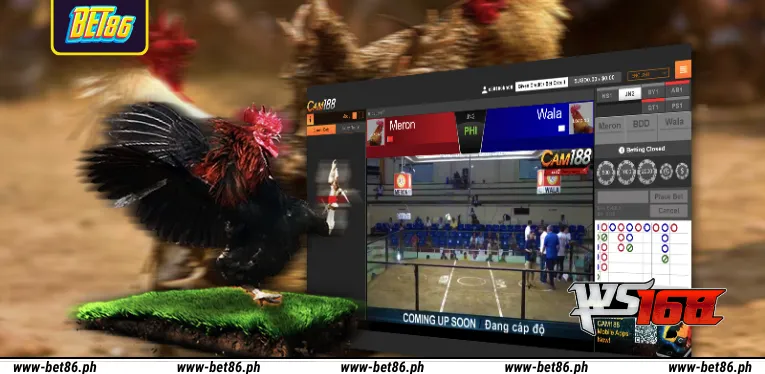 Popular WS168 cockfighting forms at Bet86